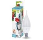 Изображение товара Лампа светодиодная ASD LED-СВЕЧА НА ВЕТРУ-standard 5Вт 230В E14 4000К Изображение товара Лампа светодиодная ASD LED-СВЕЧА НА ВЕТРУ-standard 5Вт 230В E14 4000К