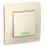  SCHNEIDER ELECTRIC BLNVS010612 Blanca