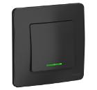 Изображение товара Переключатель SCHNEIDER ELECTRIC BLNVS010616 Blanca