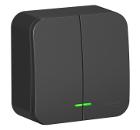 Выключатель SCHNEIDER ELECTRIC BLNVA105106 Blanca