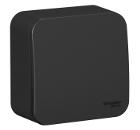 Изображение товара Переключатель Schneider Electric Blanca антрацит 1-клавишный IP20 10А 250В