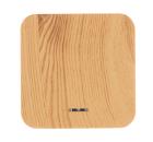 Выключатель SCHNEIDER ELECTRIC BLNVA101115 Blanca