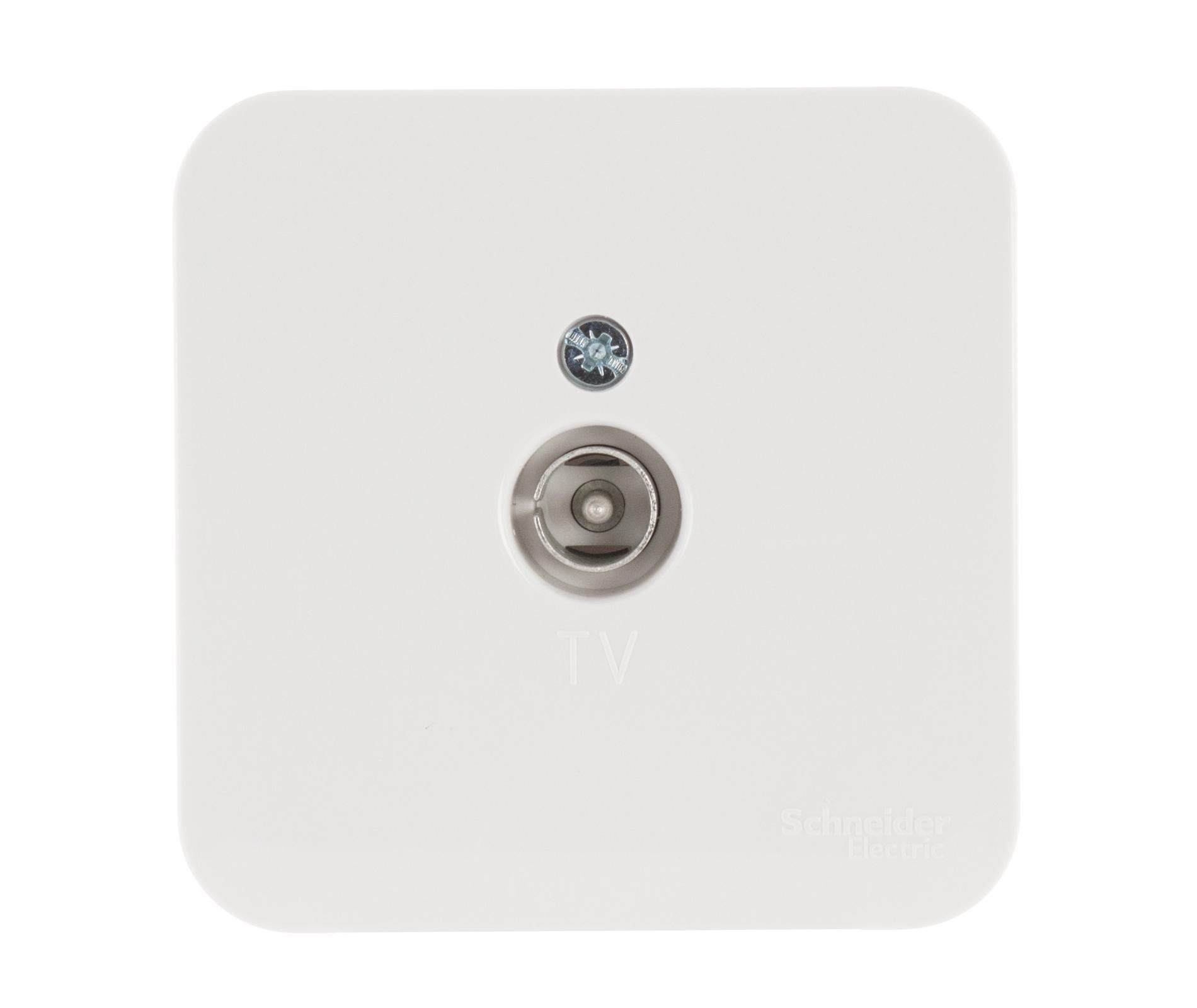 

Розетка Schneider electric Blnta000011 blanca, Blnta000011 blanca