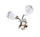 Бра МАКСИСВЕТ Универсал 3-8665-2-FG+BK E14