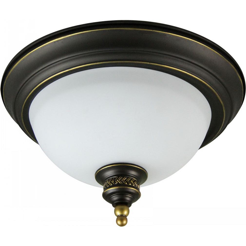 

Светильник потолочный Arte lamp A9518pl-2ba