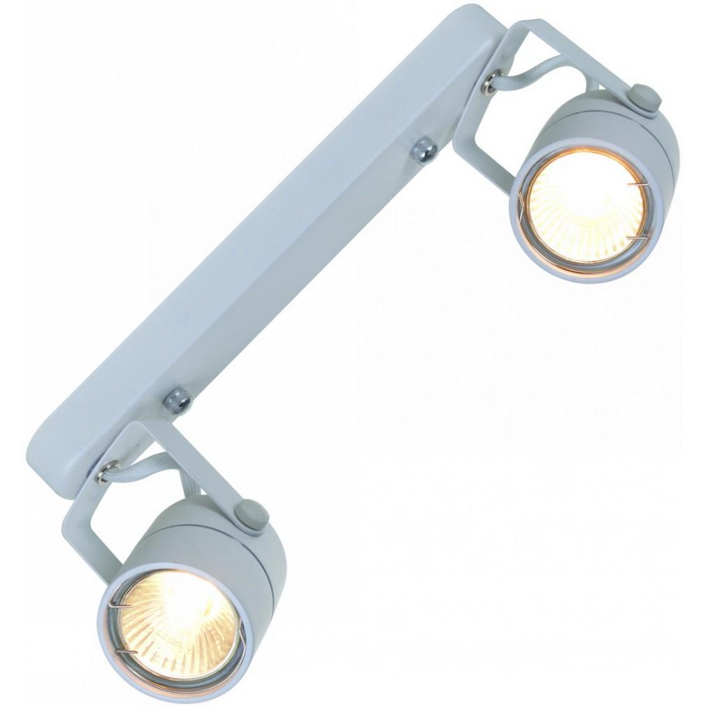 

Светильник потолочный Arte lamp A1310pl-2wh, A1310pl-2wh
