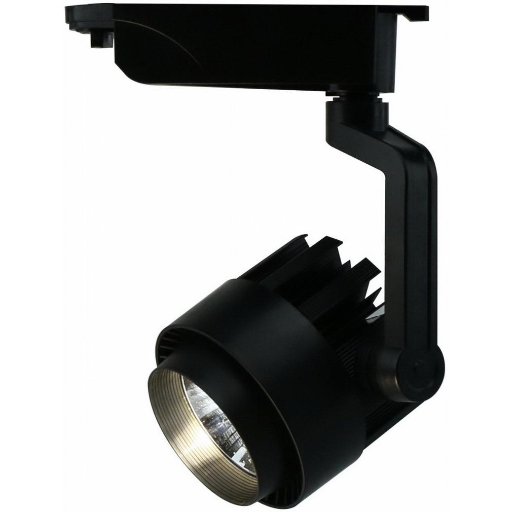 фото Светильник потолочный arte lamp a1620pl-1bk