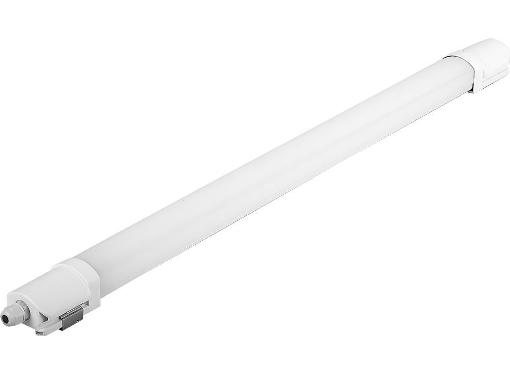  FERON 29544