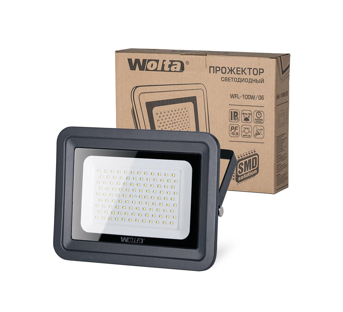  WOLTA WFL-100W/06