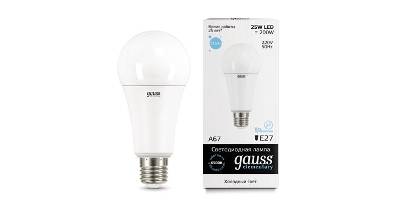   GAUSS LED Elementary A67 25W E27 6500K (73235)