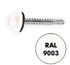  SWFS 4.828   (048467) 250 .