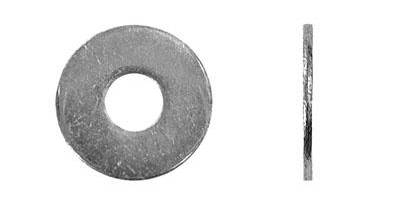   SWFS M6 DIN9021 (-017531) 1