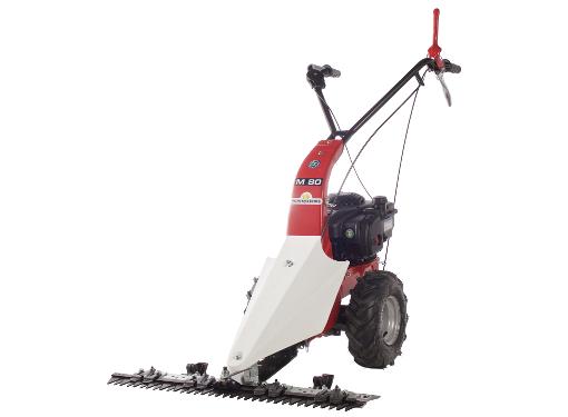   EUROSYSTEMS M80 B&S 450 Series