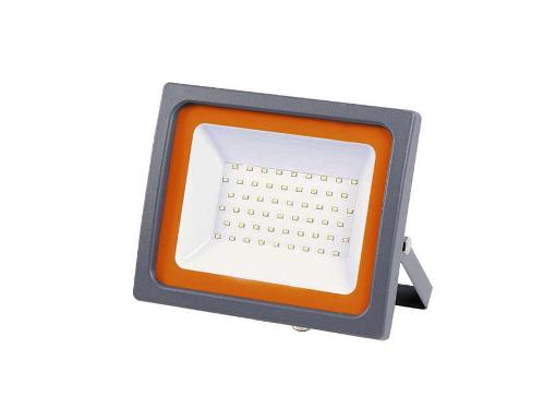  JAZZWAY PFL-SC-SMD-30 LED 30 IP65 6500