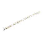 Изображение товара Лента светодиодная JAZZWAY PLS 2835/60-12V-W