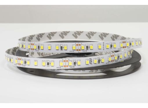   ELF 600SMD2835NWW