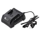 Зарядное устройство TESLA TCH60