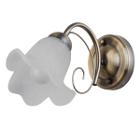 Бра TOPLIGHT TL3490B-01AB