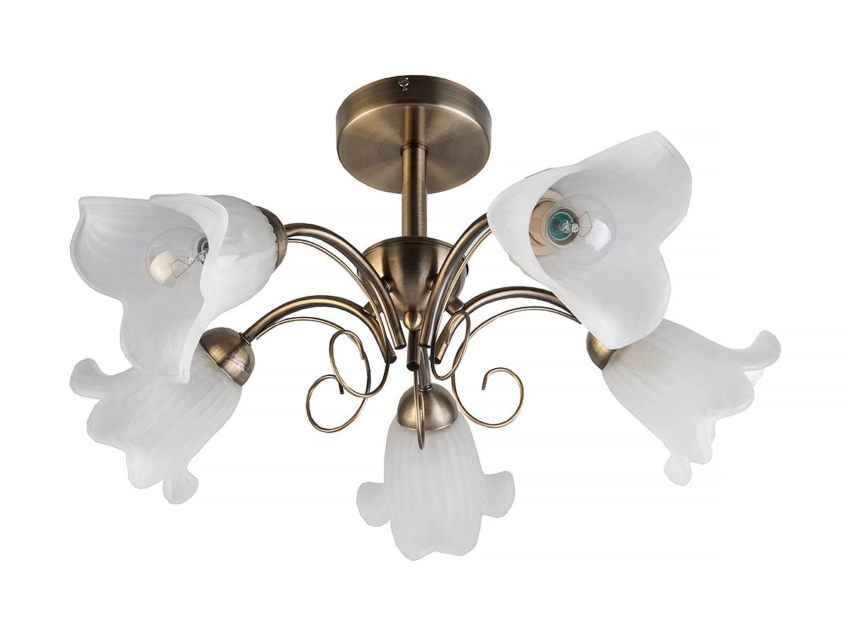 

Люстра Toplight Tl3490x-05ab, Tl3490x-05ab