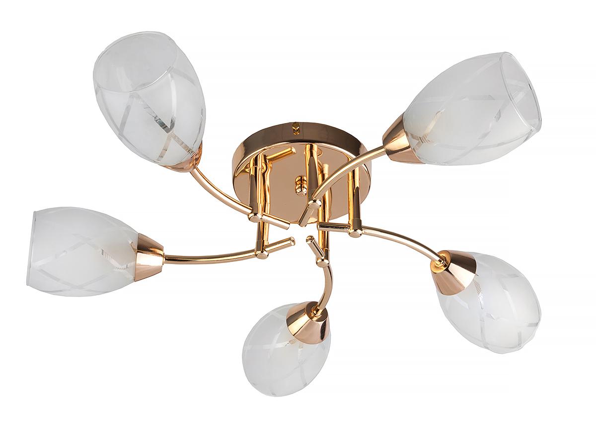 

Люстра Toplight Tl7120x-05fg, Tl7120x-05fg