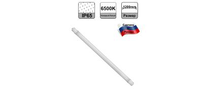   61995  ODSP-02-36-6.5K-LED