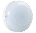 Светильник IEK ДПО 1002