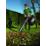  BLACK & DECKER GW2200