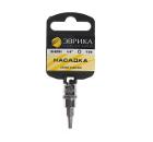 Насадка ЭВРИКА T20 40мм (ER-93204)