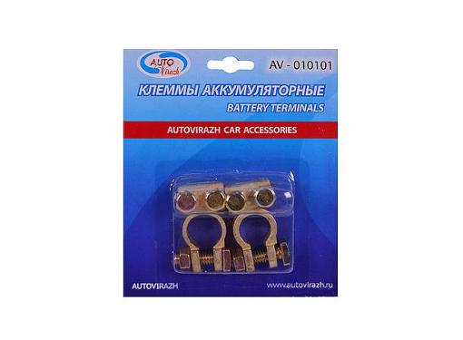   AUTOVIRAZH AV-010101