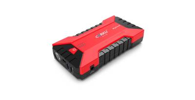   CARKU PRO-10