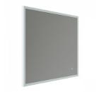      IDDIS Brick 80  BRI8000i98