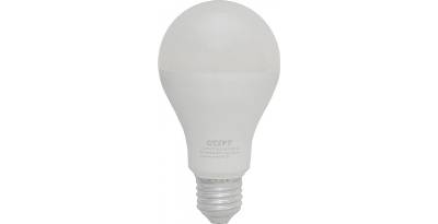   LEDGLS E27 15W 6500