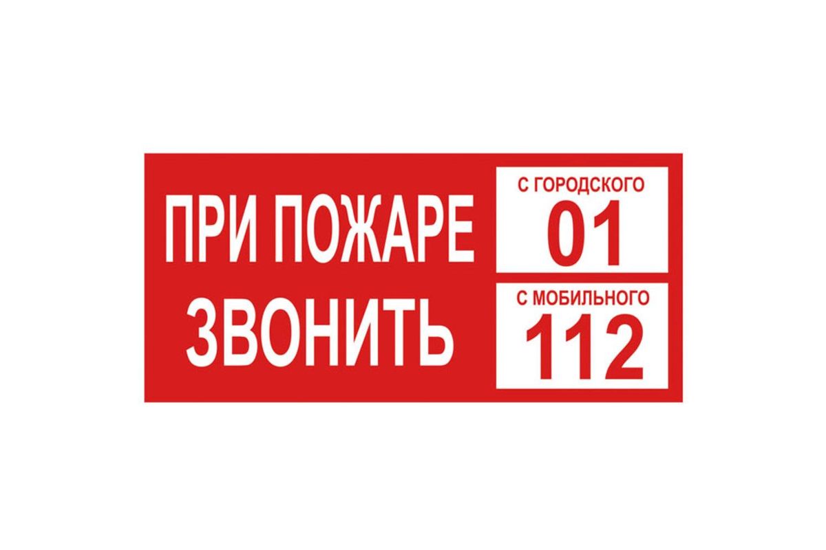 Плакат Tdm При пожаре звонить 01 200х100мм (SQ0817-0070) - цена, фото -  купить в Москве, СПб и РФ