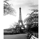     TERMA MZ-70 " " 20840 180180 