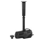   GREEN APPLE GANF01-01 0031967