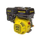 Двигатель CHAMPION G250HK