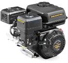 Двигатель CARVER 170FL (01.010.00129)