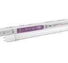    LED T8-10W-865-G13-600mm (0033000)