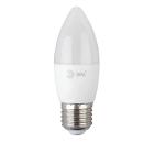    ECO LED B35-10W-865-E27 R (0045338)