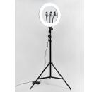 Светильник напольный кольцевой светодиодный ARTSTYLE TL-603B