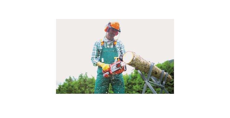 ���� ������ �������������� EINHELL PXC GE-LC 18 Li-Solo (4501761) ��� ��� � ��