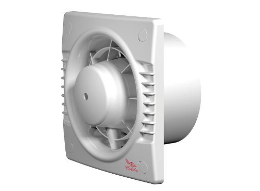  COLIBRI 100 (12678070)