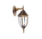  - FERON PL6002 11894