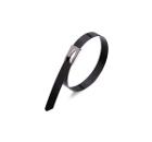 Изображение товара Стяжки из нержавеющей стали FORTISFLEX СКС-П 74903 400 мм черные 100 шт