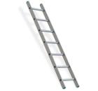 Лестница алюминиевая приставная RIGGER 101110