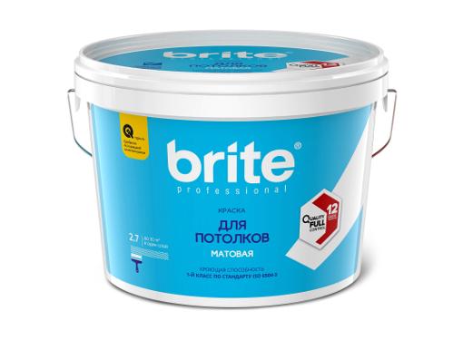  BRITE PROFESSIONAL  , 2,7 (02246)