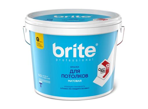  BRITE PROFESSIONAL  , 9 (02247)