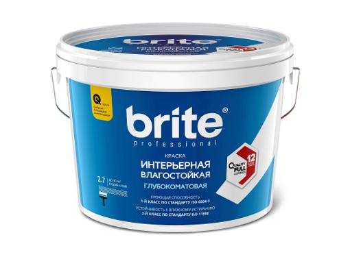   BRITE PROFESSIONAL , 2,7 (02250)