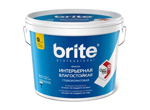   BRITE PROFESSIONAL , 9 (02251)