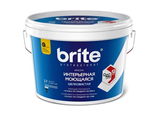   BRITE PROFESSIONAL , 2,7 (02240)